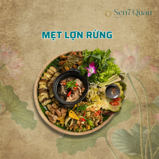  MẸT LỢN RỪNG