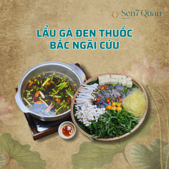 LẨU GÀ ĐEN THUỐC BẮC NGẢI CỨU