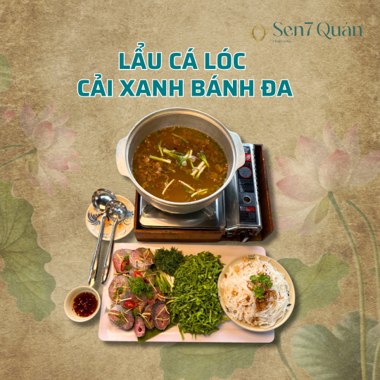  LẨU CÁ LÓC CẢI XANH BÁNH ĐA