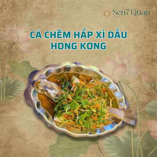  CÁ CHẼM HẤP XÌ DẦU HONG KONG